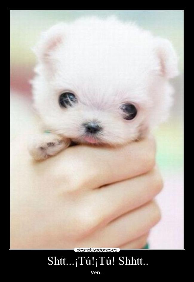 carteles vvbf desmotivaciones