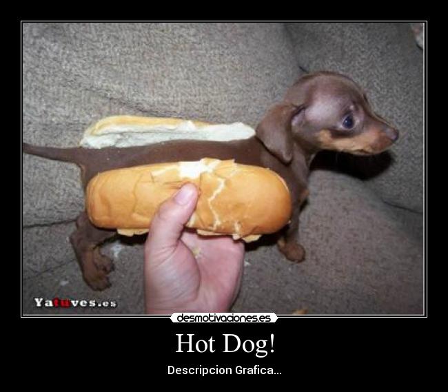 Hot Dog! - Descripcion Grafica...