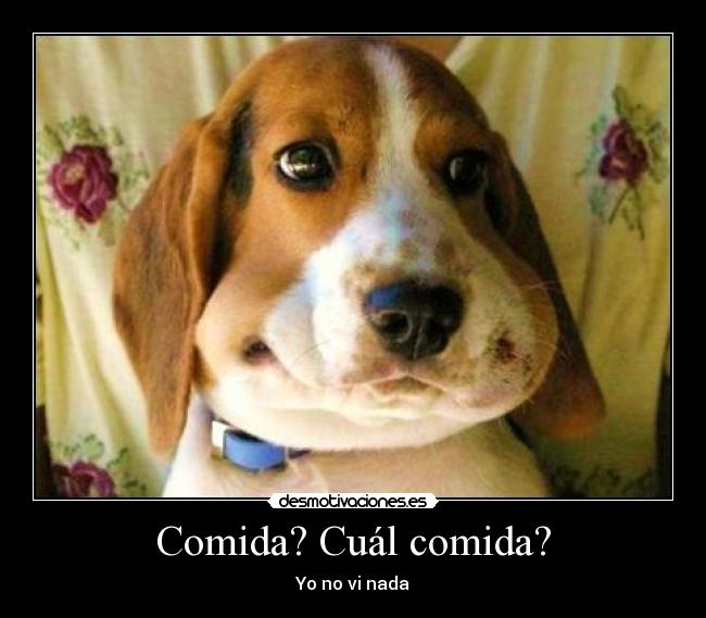 Comida? Cuál comida? -