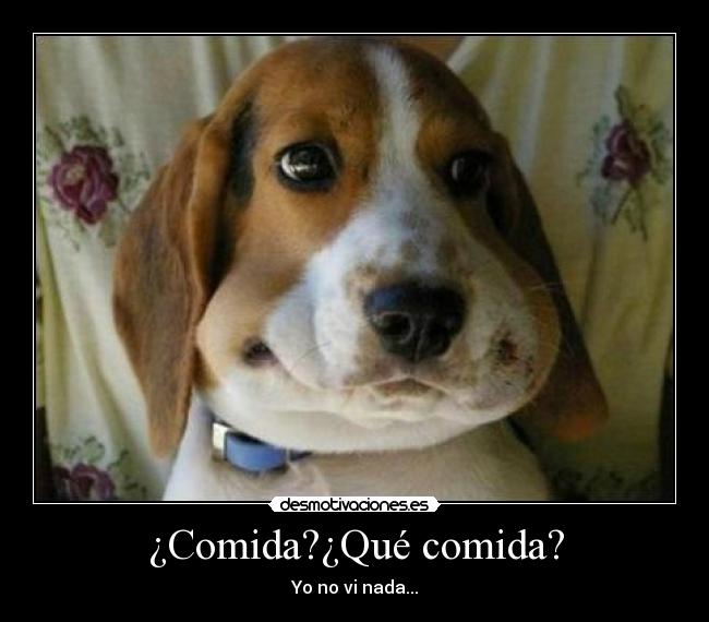 ¿Comida?¿Qué comida? -