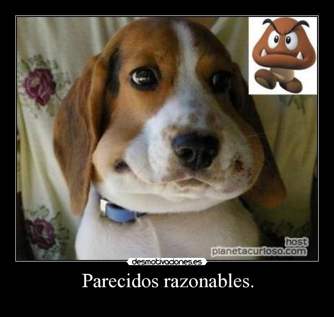 Parecidos razonables. - 