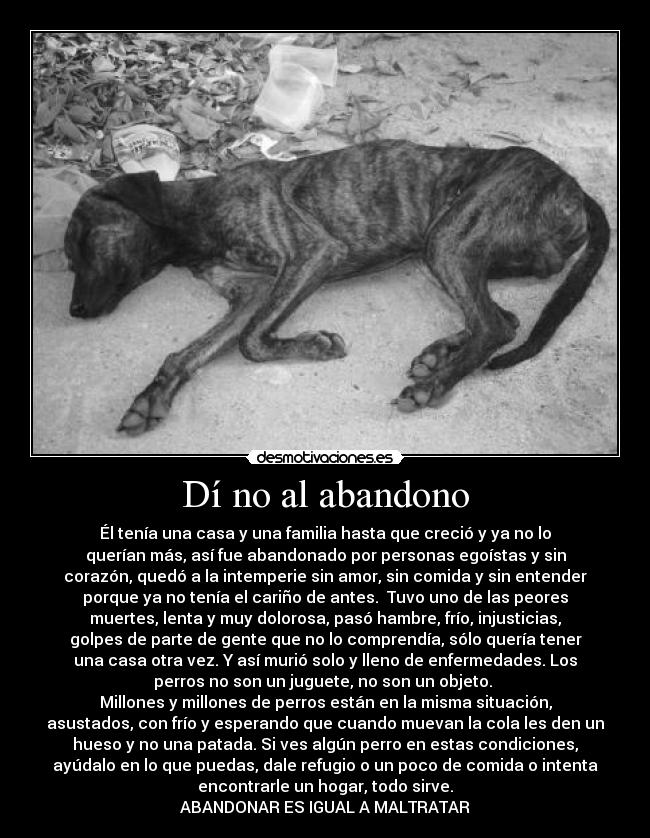 carteles perros maltrato abandono perro callejero calle maldad perro maltrato animal desmotivaciones