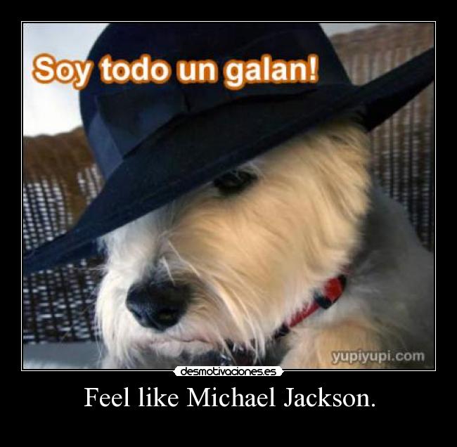 Feel like Michael Jackson. - 