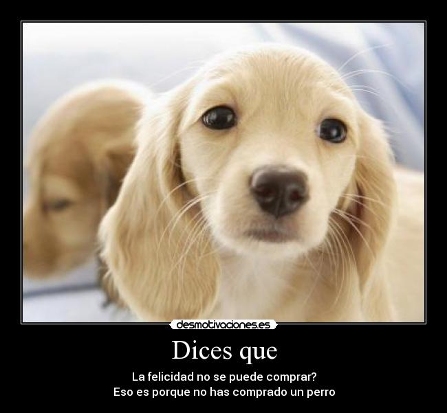 Dices que -