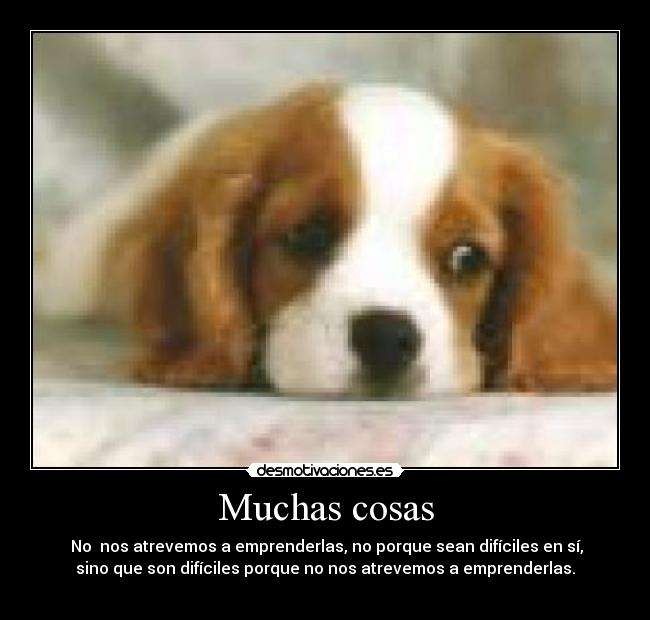Muchas cosas -