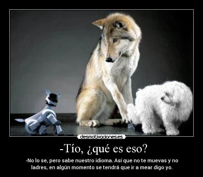 -Tío, ¿qué es eso? -