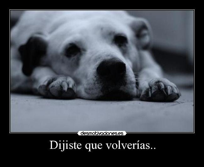 Dijiste que volverías.. -