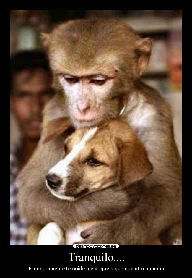 Tranquilo.... - 