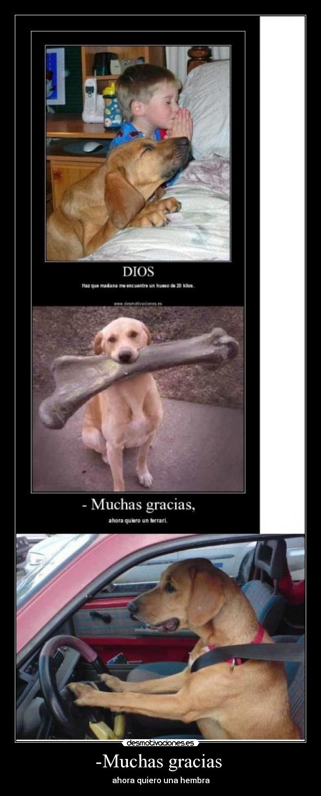 -Muchas gracias - ahora quiero una hembra