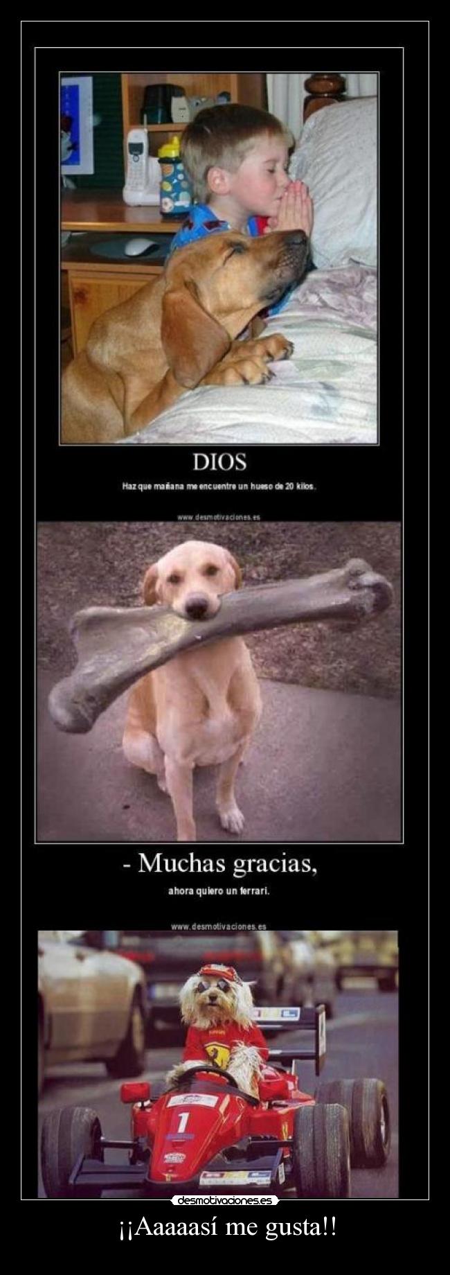 ¡¡Aaaaasí me gusta!! - 