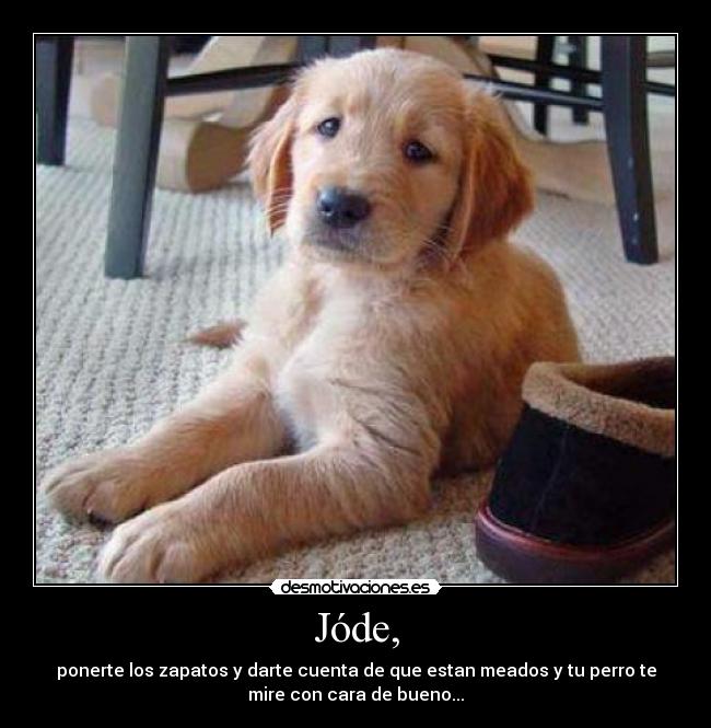 carteles jode desmotivaciones