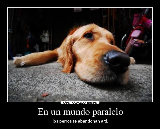 En un mundo paralelo - los perros te abandonan a ti.