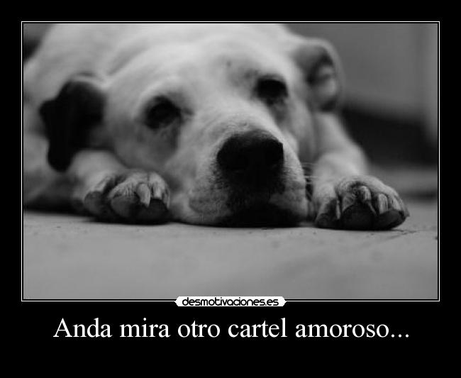 Anda mira otro cartel amoroso... -