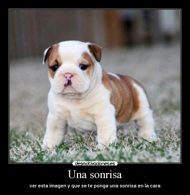 Una sonrisa - ver esta imagen y que se te ponga una sonrisa en la cara