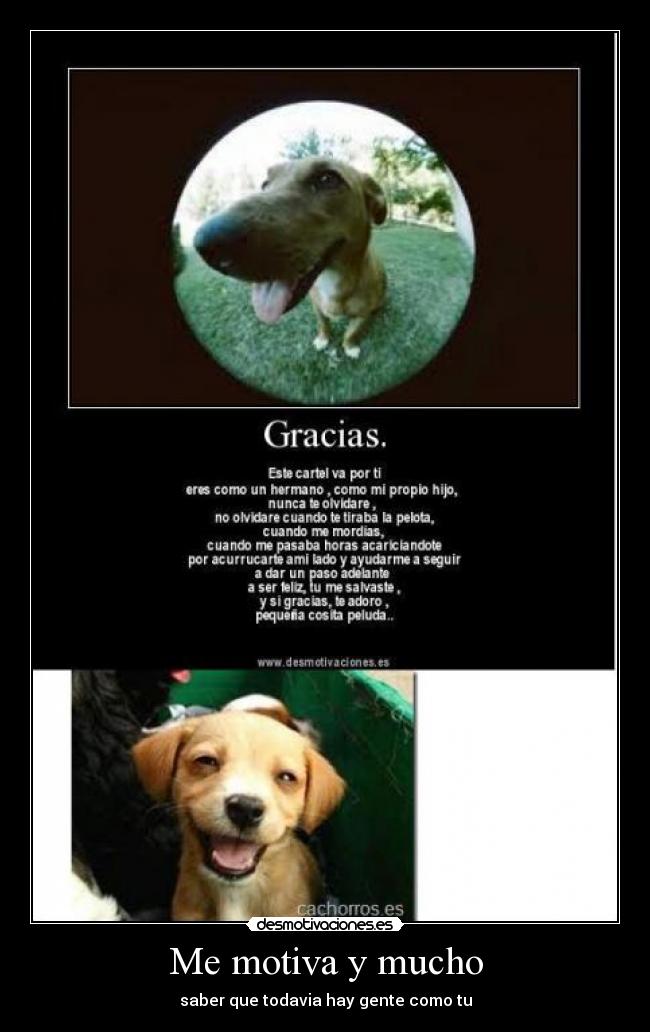 Me motiva y mucho - 