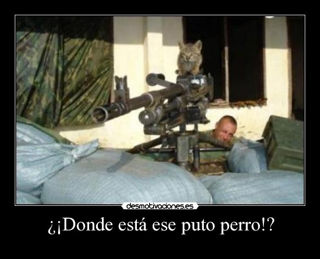 ¿¡Donde está ese puto perro!? -