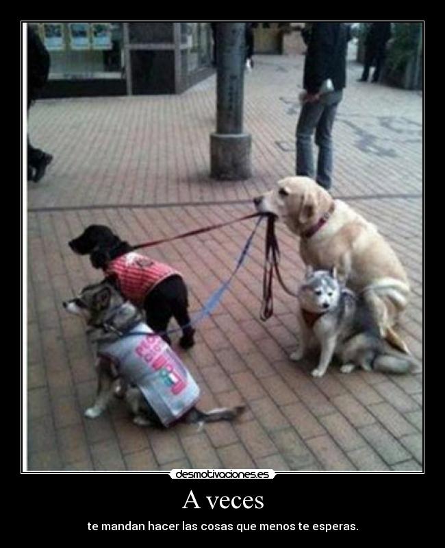 A veces - te mandan hacer las cosas que menos te esperas.