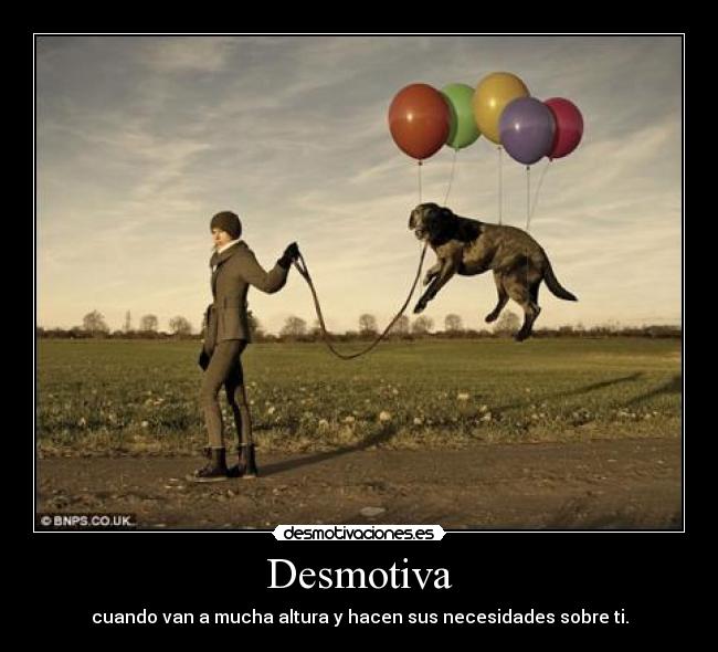 Desmotiva - cuando van a mucha altura y hacen sus necesidades sobre ti.