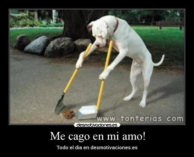 Me cago en mi amo! -