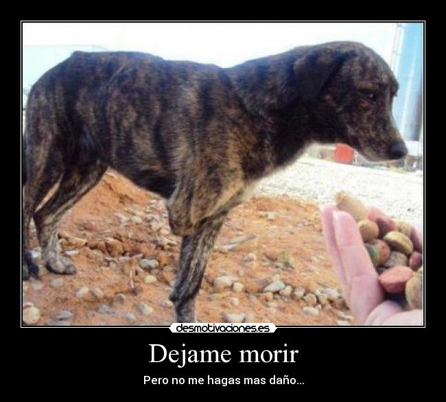 Dejame morir - 