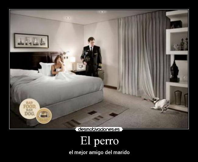 El perro - el mejor amigo del marido