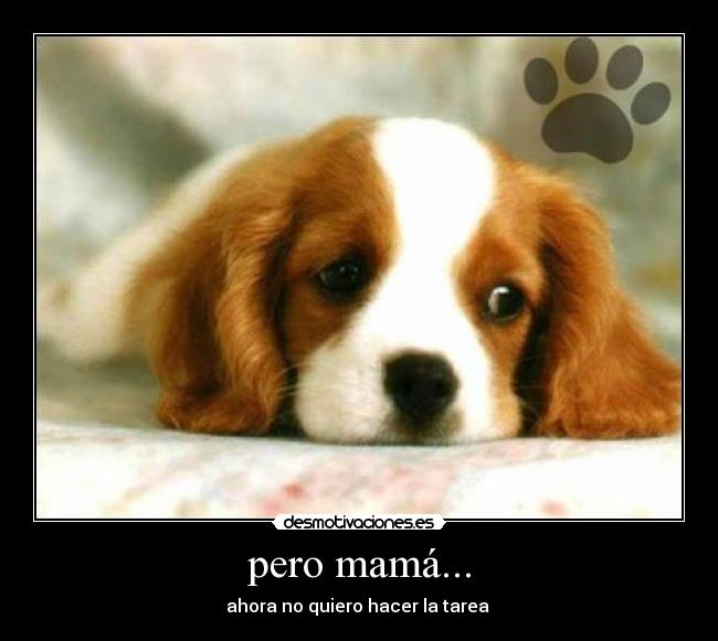 pero mamá... -
