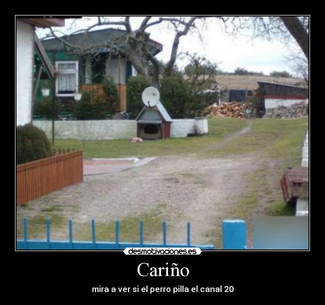 Cariño - 