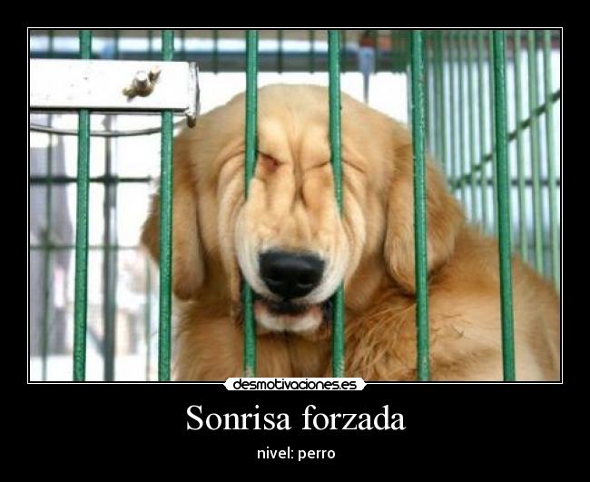Sonrisa forzada -