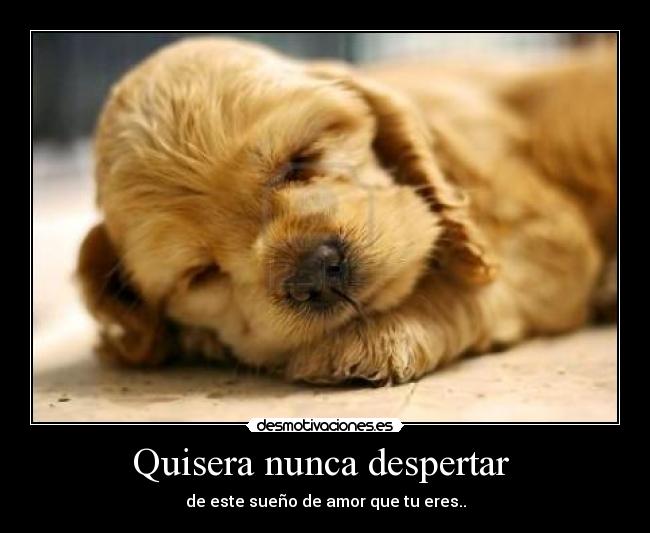 Quisera nunca despertar - de este sueño de amor que tu eres..