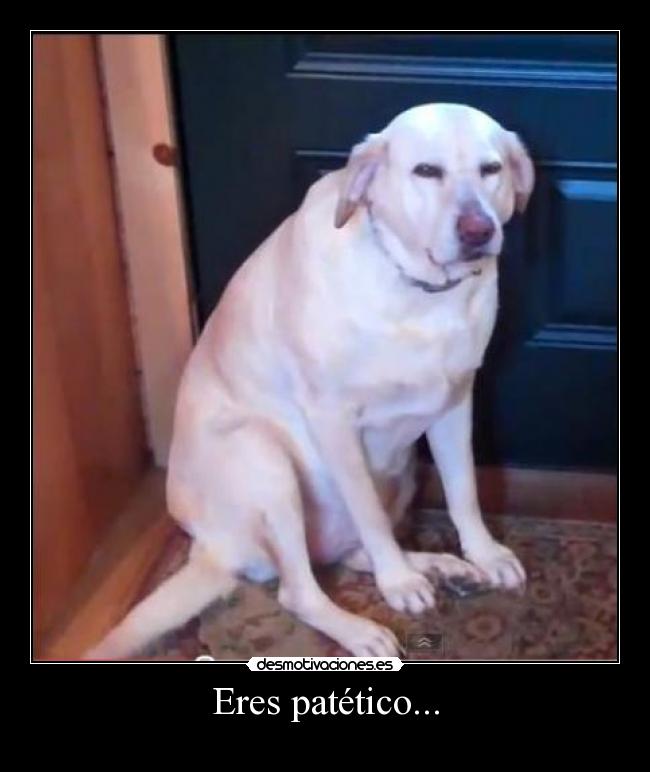 Eres patético... -