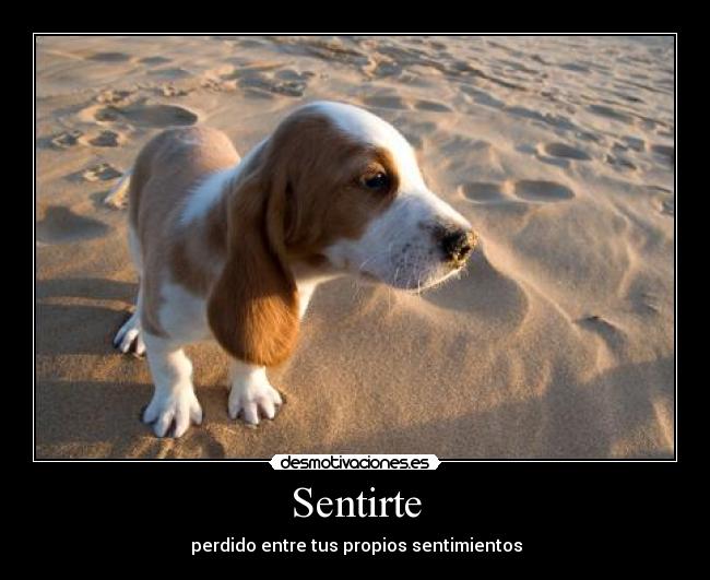 Sentirte -   perdido entre tus propios sentimientos 