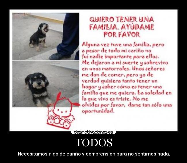 TODOS - Necesitamos algo de cariño y comprension para no sentirnos nada.