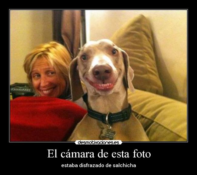 El cámara de esta foto -