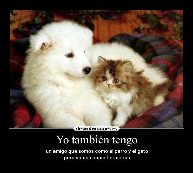 Yo también tengo - un amigo que somos como el perro y el gato
pero somos como hermanos
