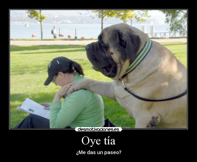 Oye tía - ¿Me das un paseo?