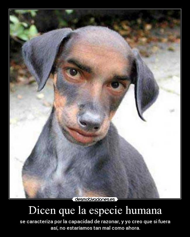 Dicen que la especie humana -