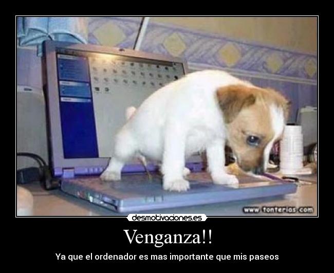 Venganza!! - Ya que el ordenador es mas importante que mis paseos