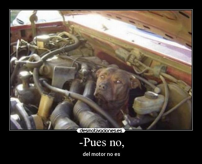 carteles taller mecanico perro motor averia coche desmotivaciones