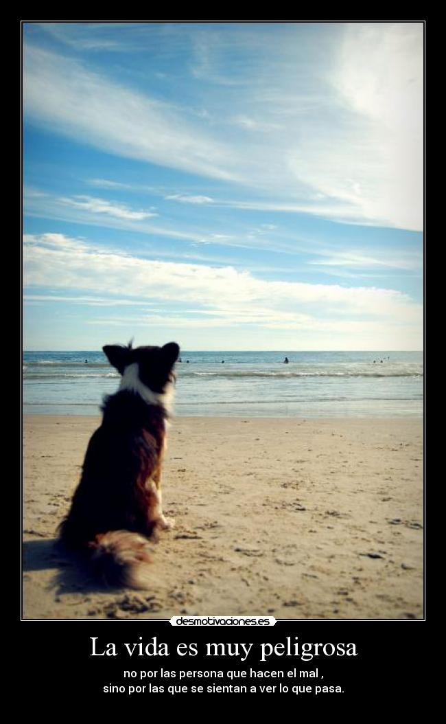 La vida es muy peligrosa - 