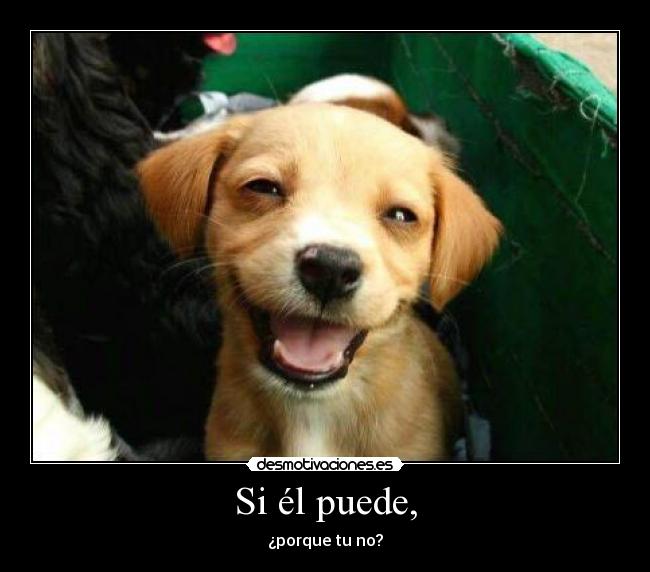 Si él puede, -