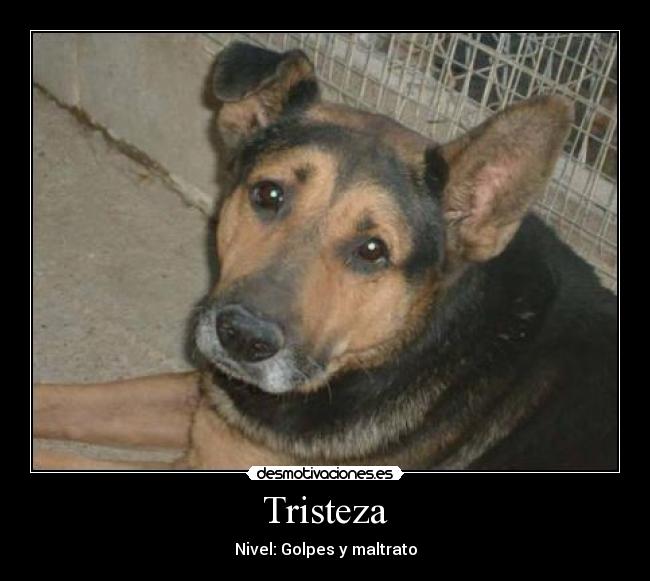 Tristeza - 