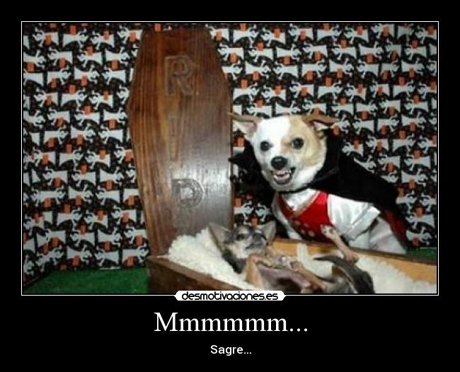 Mmmmmm... - Sagre...
