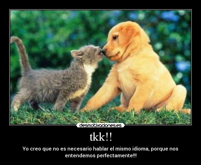 tkk!! - Yo creo que no es necesario hablar el mismo idioma, porque nos
entendemos perfectamente!!!