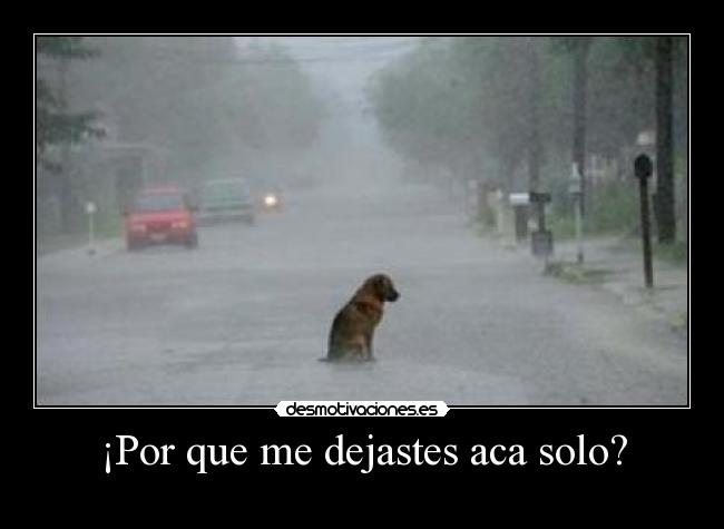¡Por que me dejastes aca solo? - 