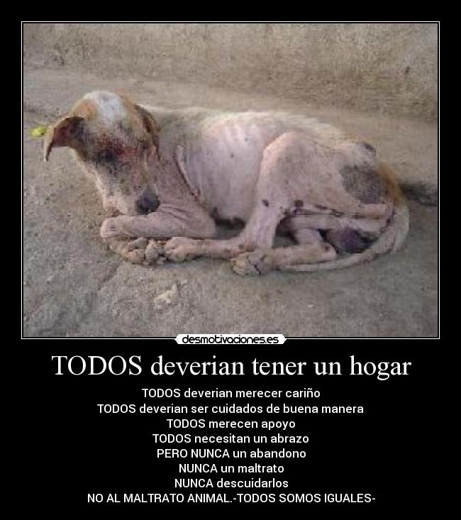 TODOS deverian tener un hogar - TODOS deverian merecer cariño
TODOS deverian ser cuidados de buena manera
TODOS merecen apoyo
TODOS necesitan un abrazo
PERO NUNCA un abandono
NUNCA un maltrato
NUNCA descuidarlos
NO AL MALTRATO ANIMAL.-TODOS SOMOS IGUALES-