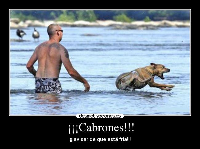 ¡¡¡Cabrones!!! - 