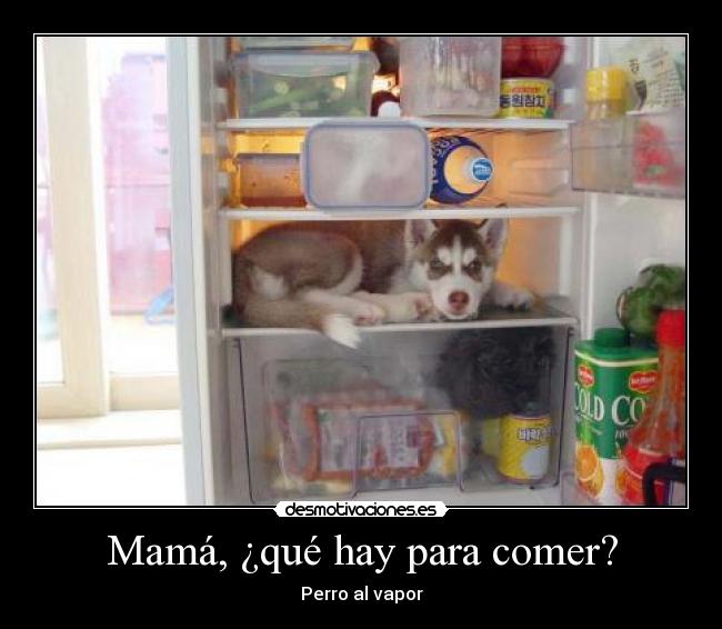 Mamá, ¿qué hay para comer? - Perro al vapor