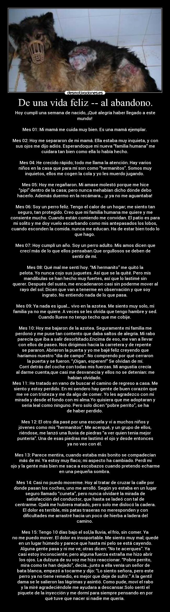 De una vida feliz -- al abandono. -