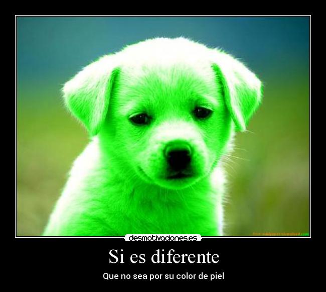 Si es diferente - Que no sea por su color de piel