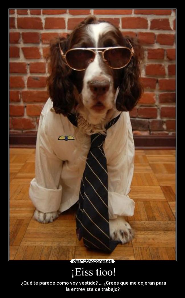 ¡Eiss tioo! - ¿Qué te parece como voy vestido? ....¿Crees que me cojeran para
la entrevista de trabajo?